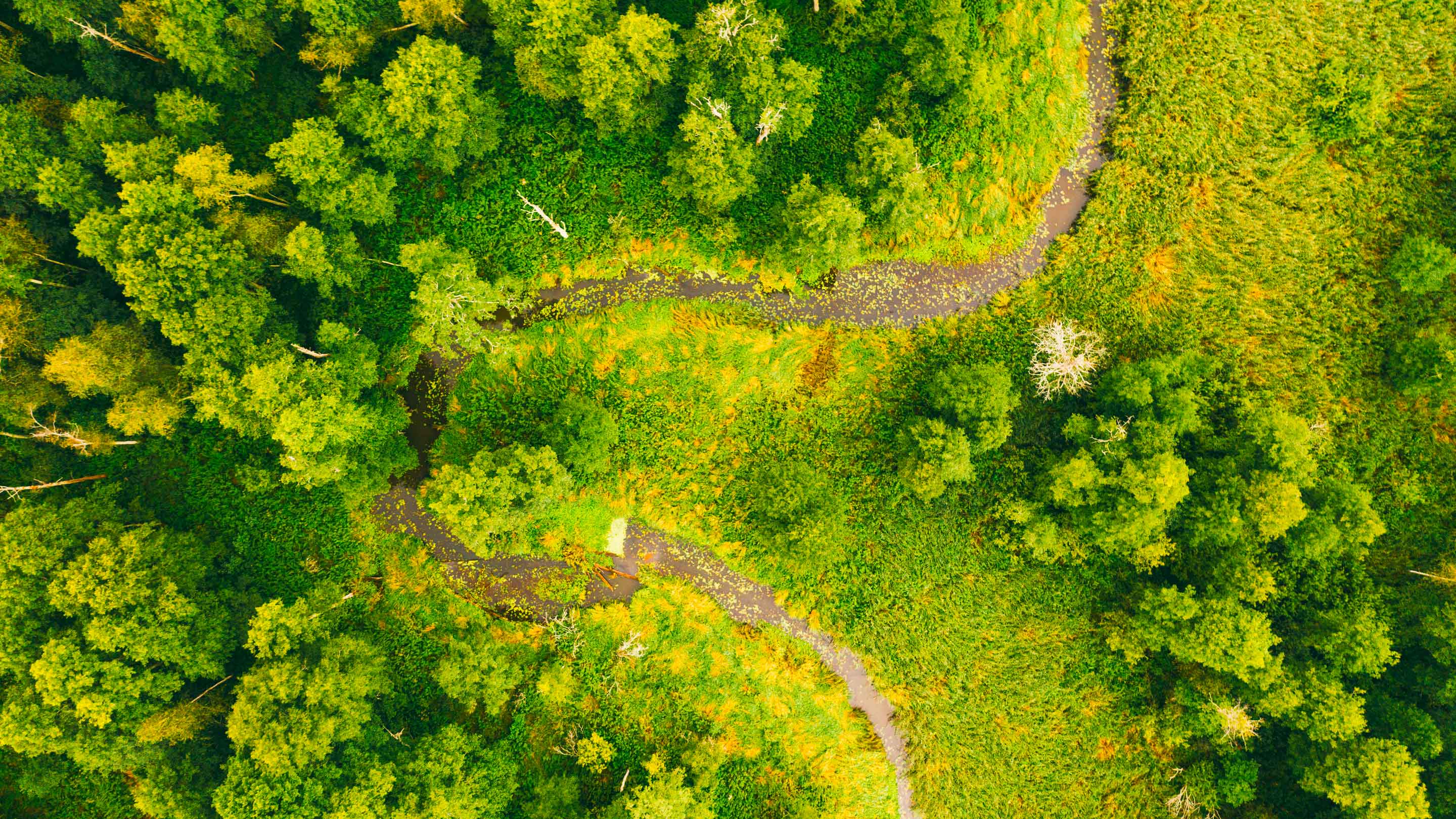 Irmãos Bomfim Sustentabilidade